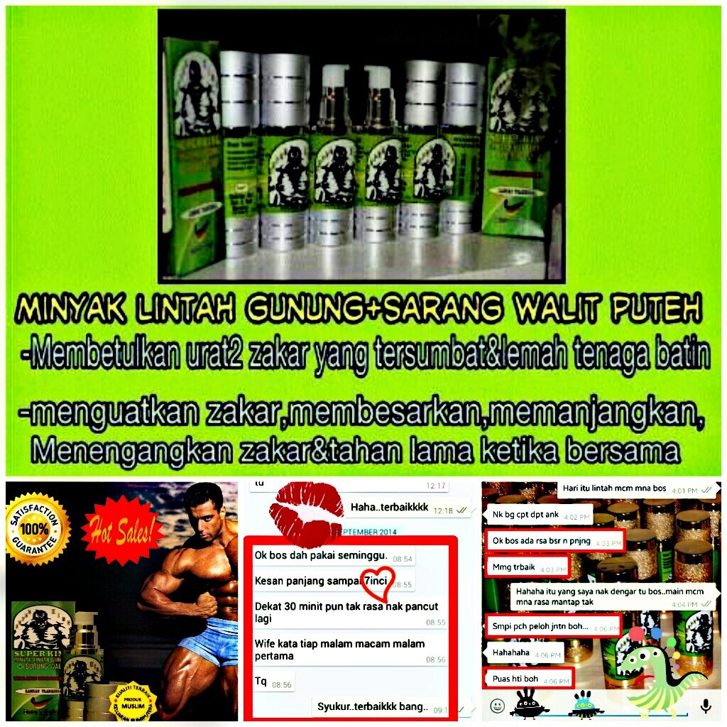 minyak lintah